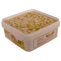 حلوا ارده شیررضا مقدار 5 کیلوگرم